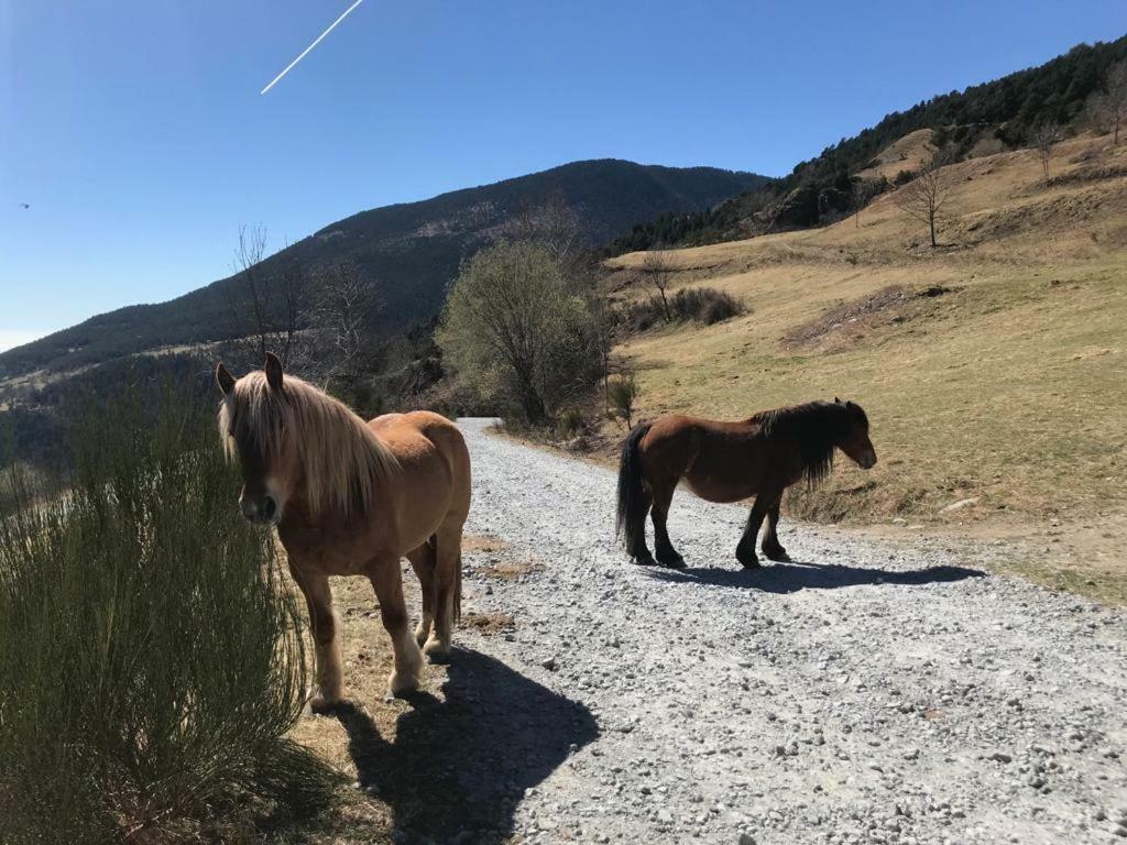 Casa De La Font De Dalt Villa Queralbs Eksteriør bilde